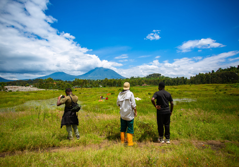 Best of East South Africa Birding with Nature Travel Birding