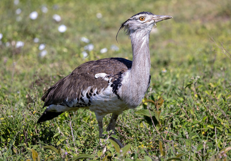 Tour image