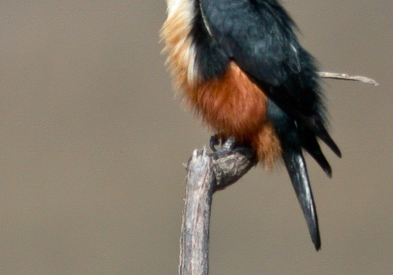 Tour image