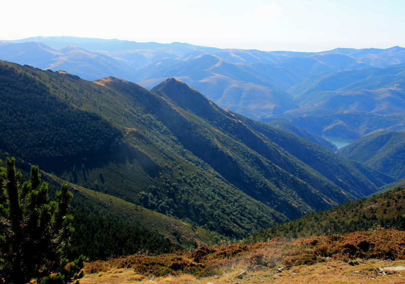 Five Eagles of Northern Spain Birding and Back-Roads Tour