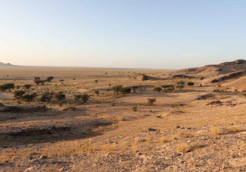 Western Sahara Birding