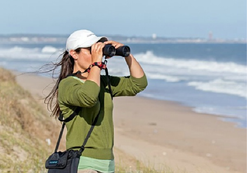 Uruguay Coast and Wetlands Birding Tour