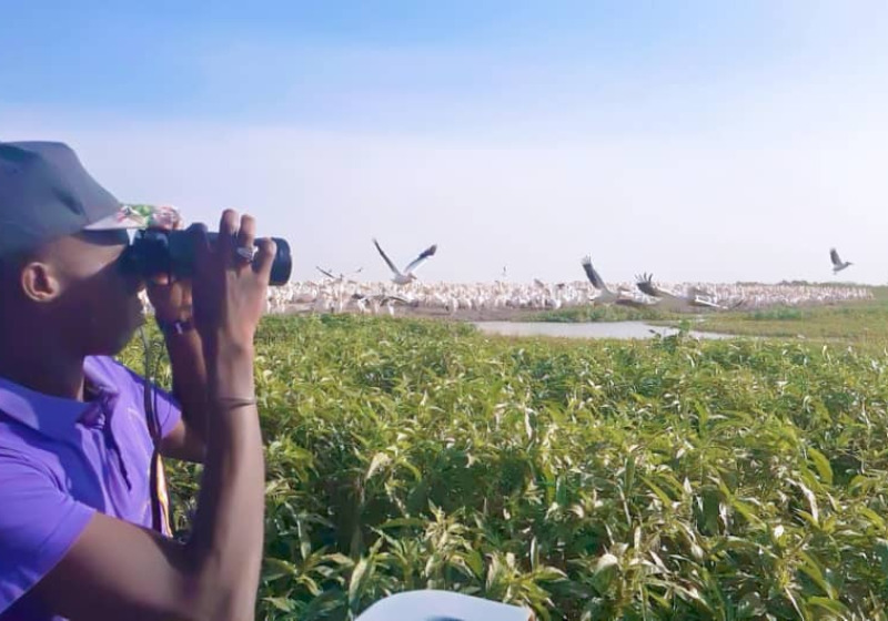 Private Djoudj Birding Hike and Cultural Discovery