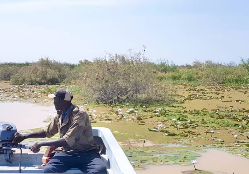 Private Djoudj Pirogue Birding and Wildlife Excursion