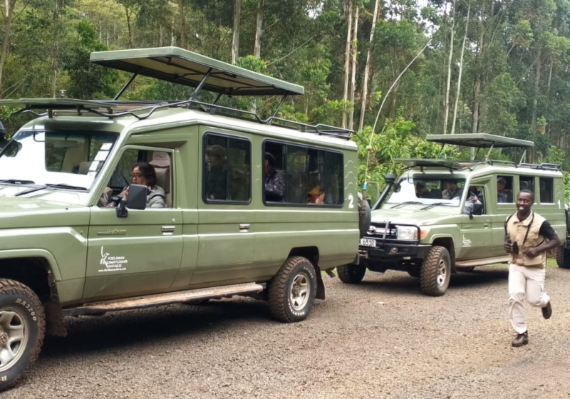 3-Day Nairobi and Amboseli Bird Photography Safari