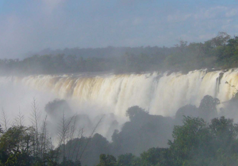 Iguazu National Park Brazil Birding Day Tour