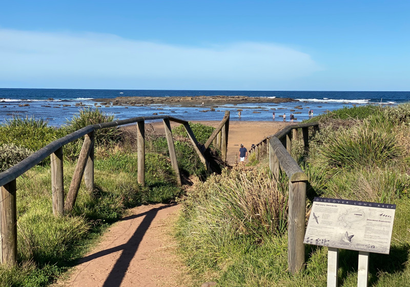 Northern Beaches Half-Day Birdwatching Tour with Mike Barrow